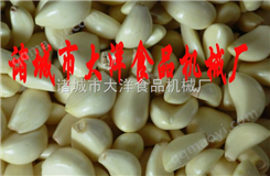 干式大蒜去皮机、大蒜脱皮器、扒蒜机——大洋食品机械厂