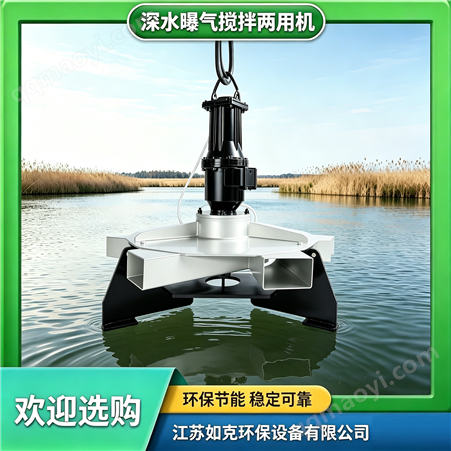 SBJ3/5.5深水曝氣攪拌兩用機 反應池曝氣器