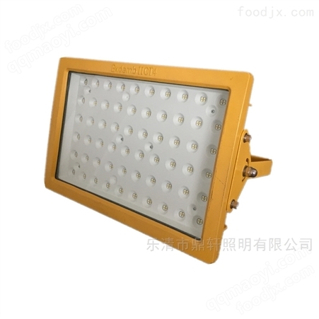 BDE505BDE505石油石化场所防爆LED投光灯100W晶元芯片
