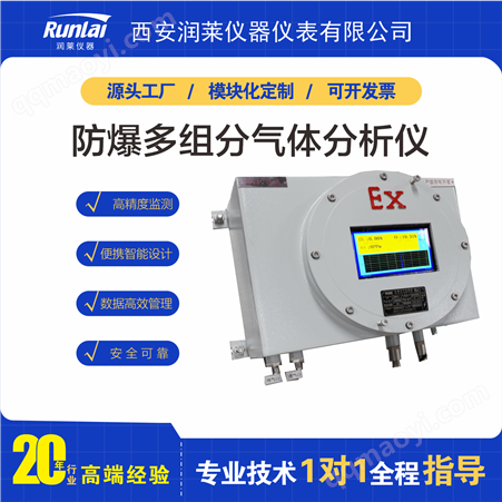 RL-U500型在线式气体分析仪报价